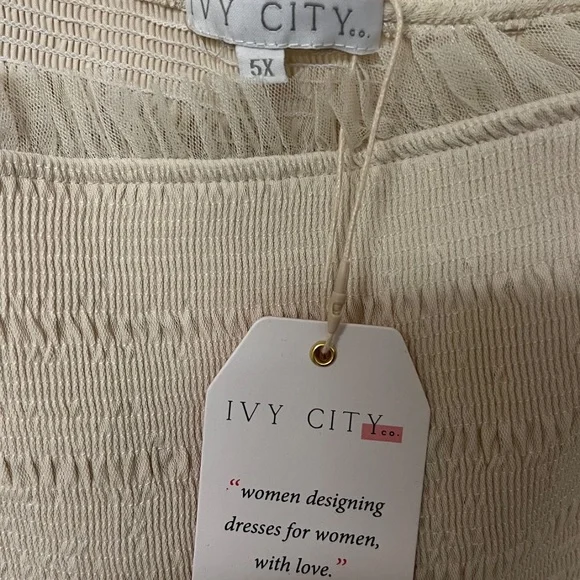 Ivy City Lined Fancy Beige Dress NWT, size 5X - Picture 2 of 5